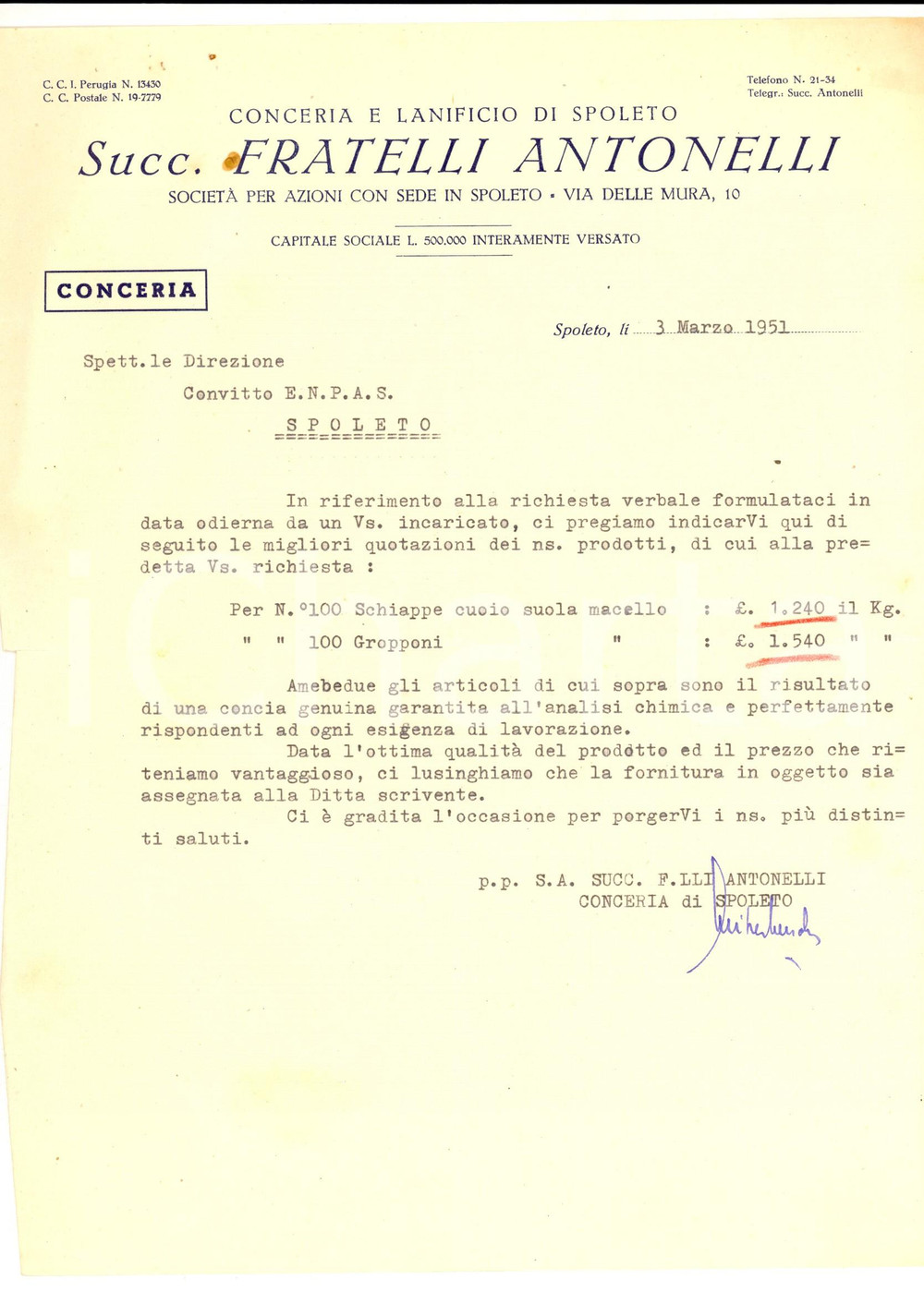 Documento originale, autentico 1951 SPOLETO PG Conceria succ. FRATELLI ANTONELLI Lettera intestata 1