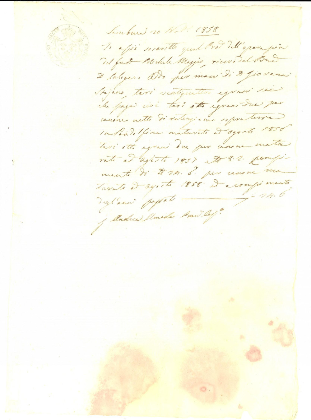 Documento originale, autentico 1858 SAMBUCA AG Opera pia del fu Michele MAGGIO riscuote canoni Manoscritto 1