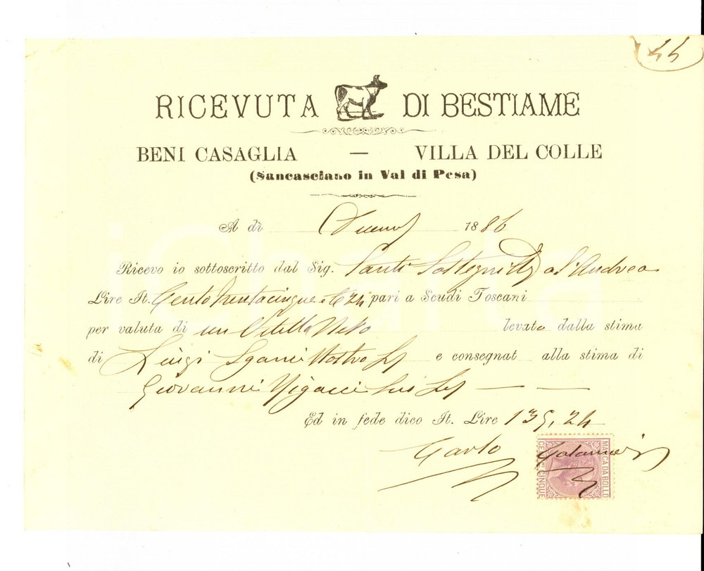 Documento originale, autentico 1886 SAN CASCIANO VAL DI PESA Ricevuta bestiame beni CASAGLIA  VILLA DEL COLLE 1