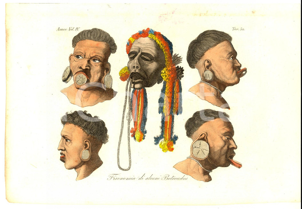 Stampa, bozzetto originale 1830 ca FERRARIO COSTUME AMERICA Fisionomia di alcuni BOTOCUDOS Stampa 1