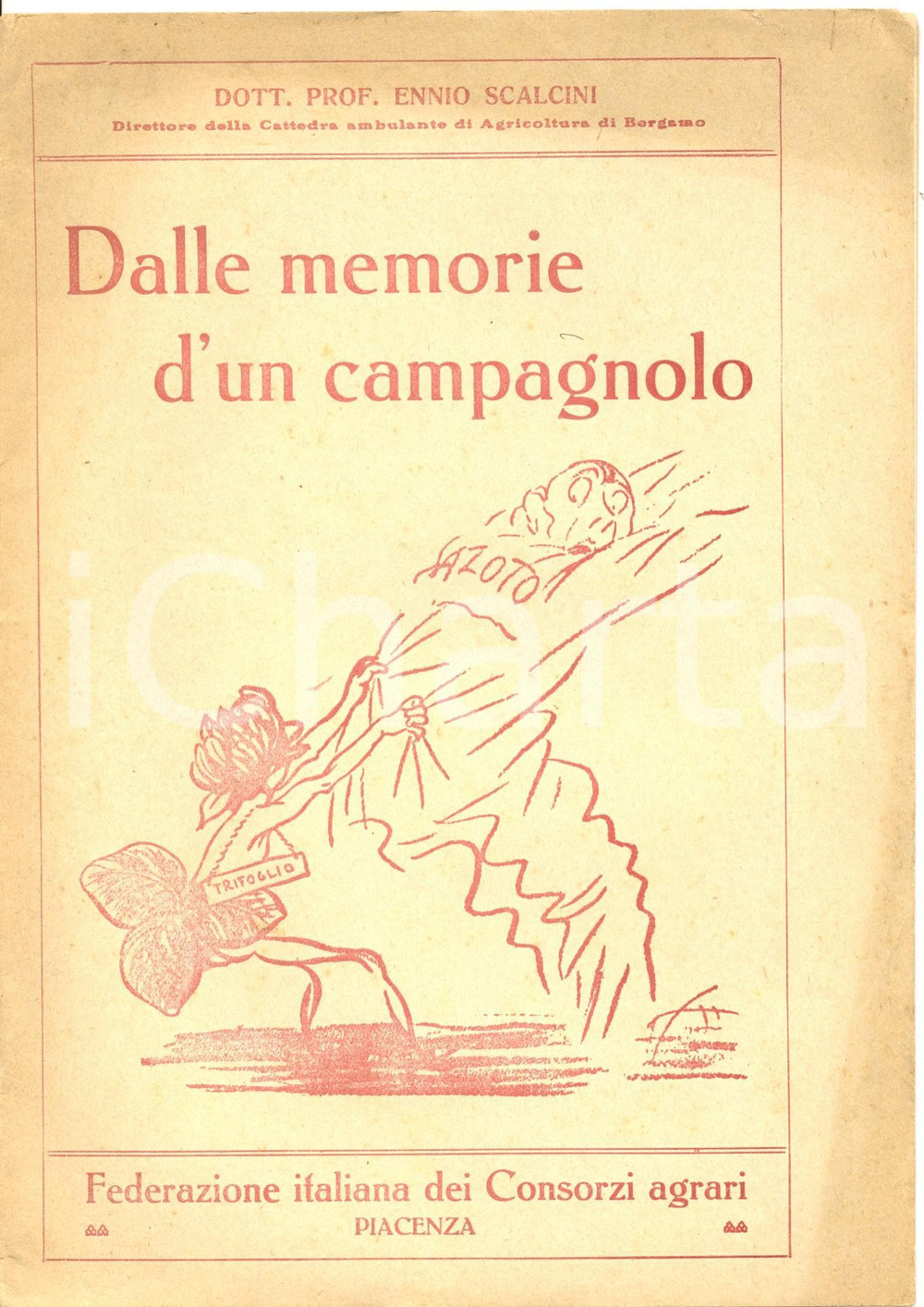 Libro, pubblicazione d epoca 1916 Ennio SCALCINI memorie d un campagnolo Federazione Italiana Consorzi Agrari 1