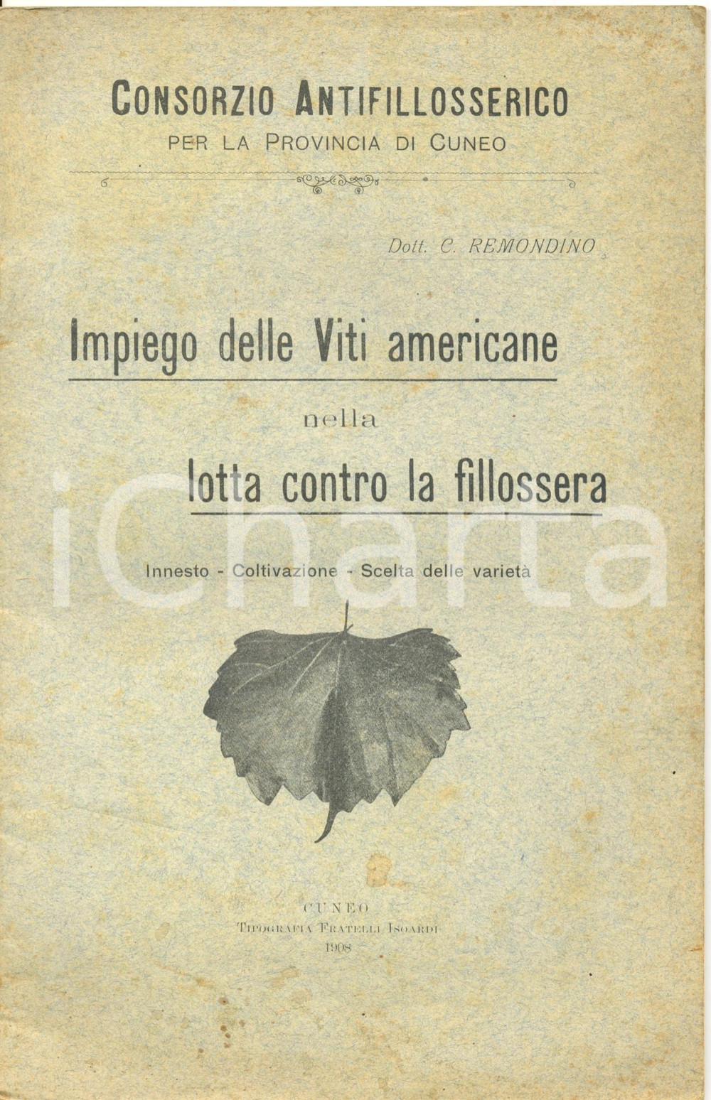 Libro, pubblicazione d epoca 1908 CONSORZIO ANTIFILLOSSERICO CUNEO con REMONDINO Impiego viti americane 1