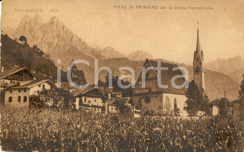 Cartolina originale da collezione 1925 ca PRIMIERO TN La Pieve con chiesa parrocchiale 1