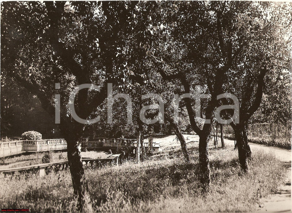 Fotografia d epoca originale 1937 Milano Giardini Guastalla Foto parco d epoca 1
