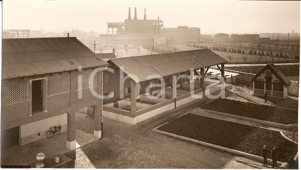 Fotografia d epoca originale 1930 ca CIVIDALE DEL FRIULI UD Allevamento di maiali a RUBIGNACCO Fotografia 1