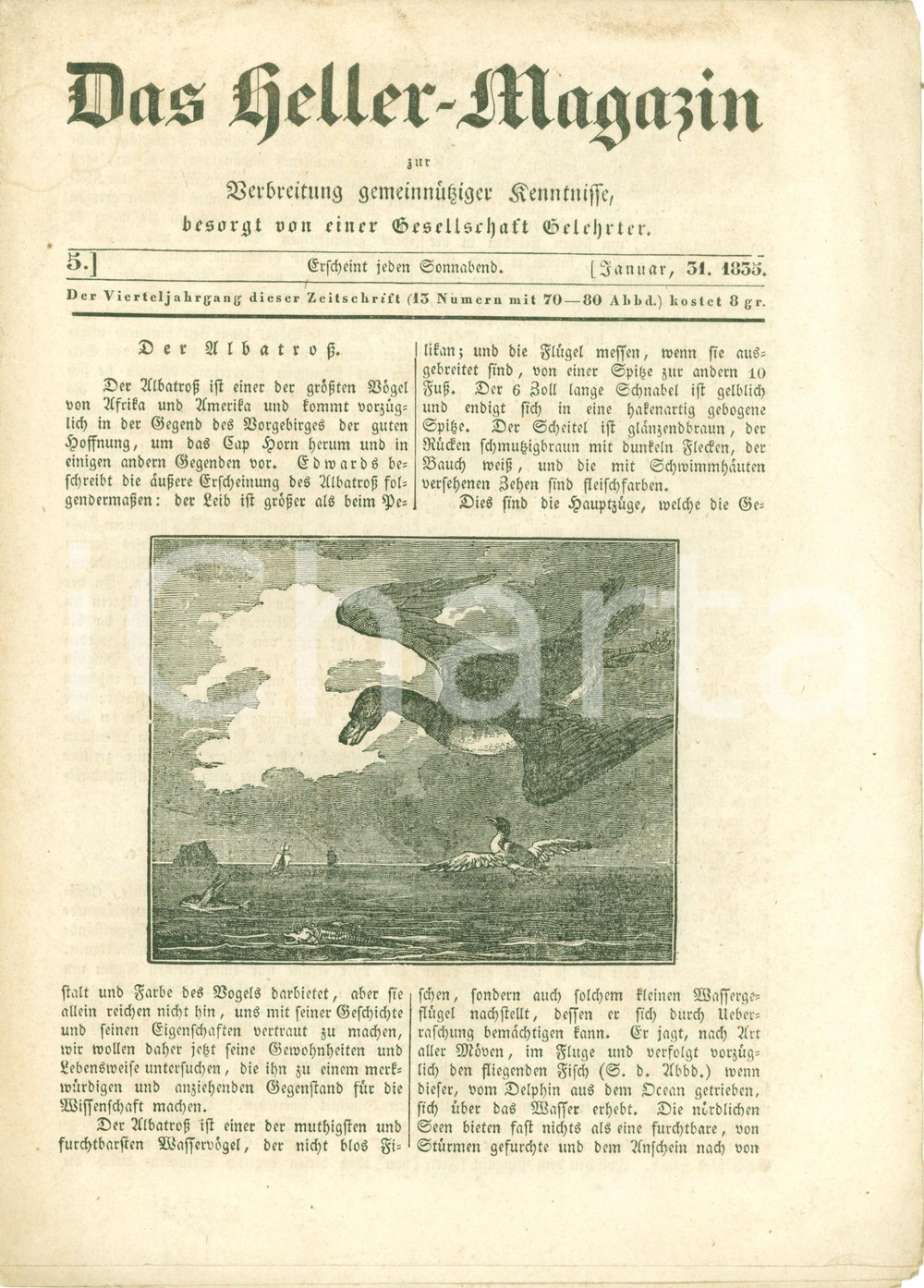 Giornale, rivista storica 1835 DAS HELLERMAGAZIN Storia albatros albero BANYAN su rive GANGE Rivista 1