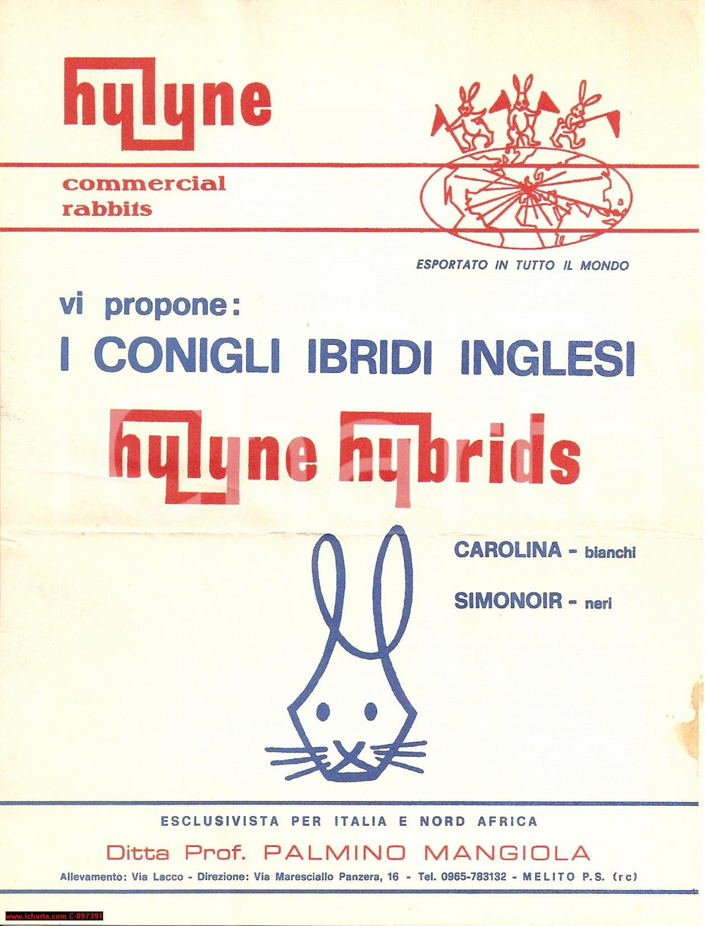 Materiale pubblicitario d’epoca 1950 MELITO DI PORTO SALVO RC Conigli ibridi MANGIOLA Opuscolo 1