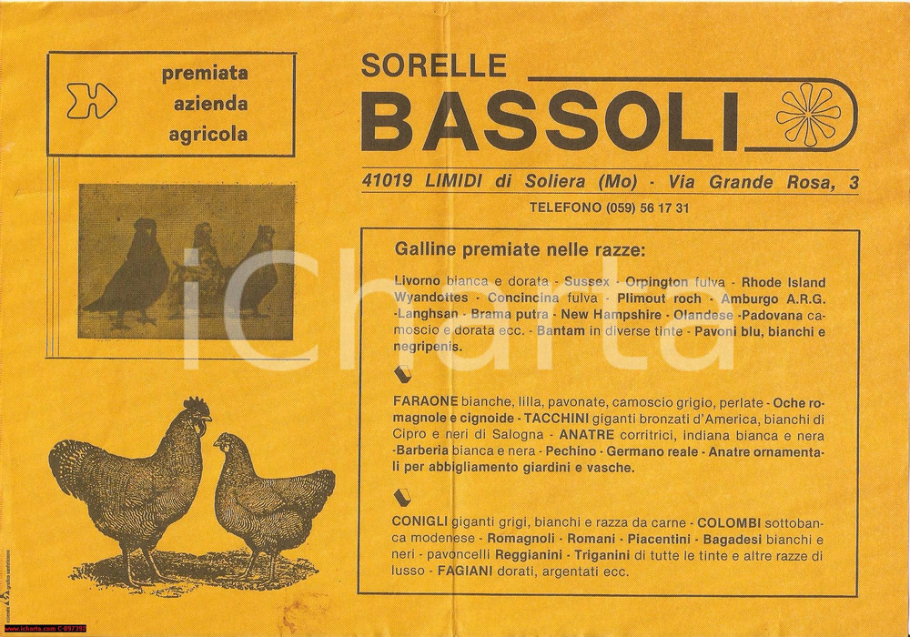 Oggetto da collezione cartaceo 1960 circa LIMIDI DI SOLIERA MO Razze Sorelle BASSOLI Volantino 1