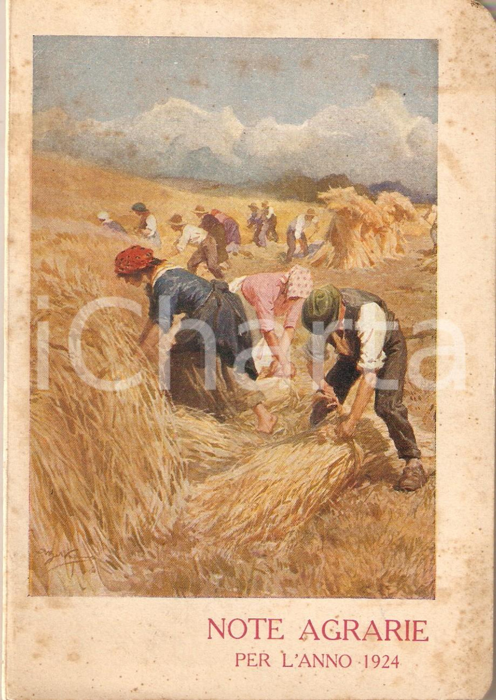 Libro, pubblicazione d epoca 1924 MILANO SocietÃ  Italiana Prodotti Azotati CALCIOCIANAMIDE Note Agrarie 1