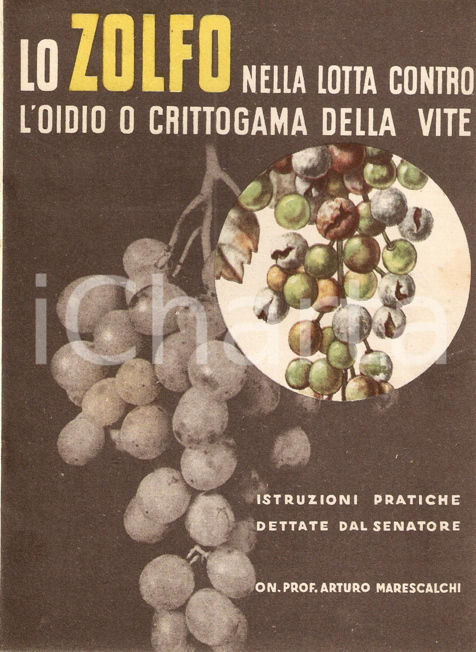 Libro, pubblicazione d epoca 1937 Arturo MARESCALCHI Zolfo nella lotta contro oidio o crittogama della vite 1