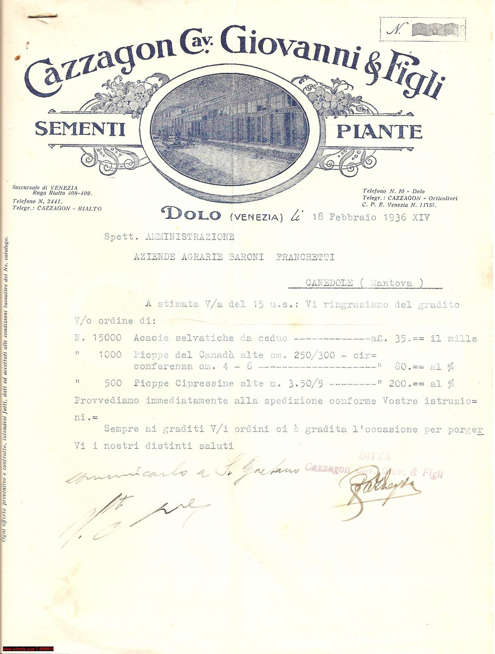 Manoscritto, lettera originale 1936 DOLO VE Sementi e piante GIOVANNI CAZZAGON Lettera intestata 1