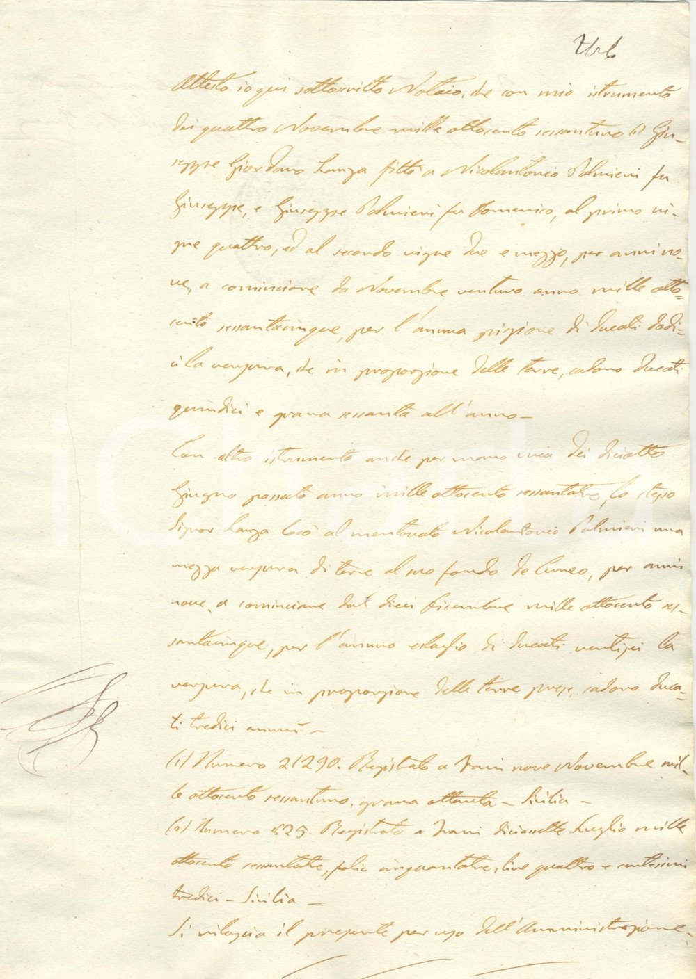 Documento originale, autentico 1864 TRANI BT Giuseppe Giordano LANZA affitta vigne a Nicolantonio PALMIERI 1
