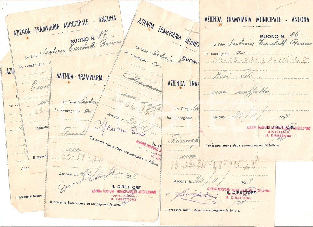 Documento originale, autentico 1953 ANCONA Azienda Tramviaria Municipale Lotto 6 buoni Sartoria Bruno TURCHETTI 1