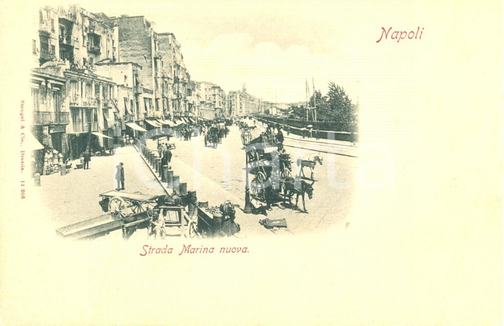 Cartolina originale da collezione 1910 ca NAPOLI La Strada Marina Nuova con carrozze Cartolina animata FP NV 1
