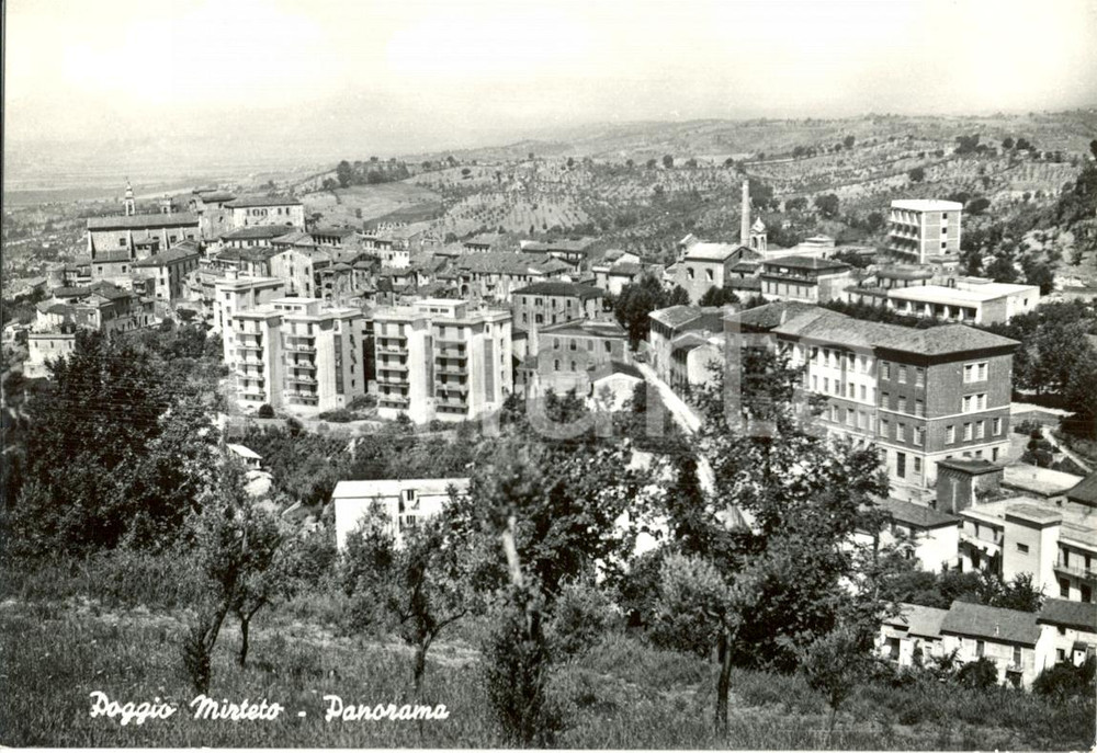 Cartolina originale da collezione 1955 ca POGGIO MIRTETO RI Panorama generale  Cartolina postale FG NV 1