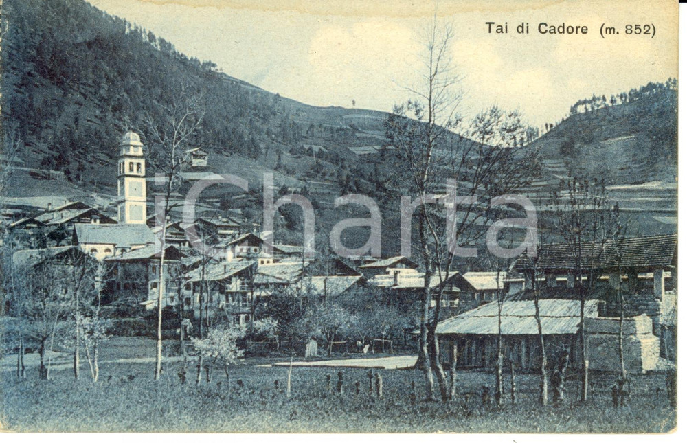 Cartolina originale da collezione 1920 ca PIEVE DI CADORE BL Frazione TAI Scorcio panoramico Cartolina FP NV 1