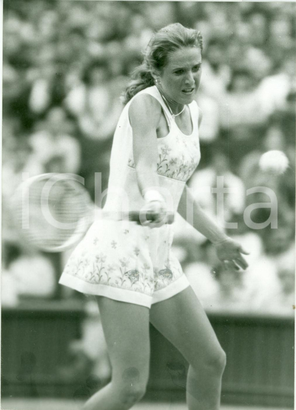 Fotografia d epoca originale 1981 WIMBLEDON UK Tennis Potente diritto Tracey AUSTIN Fotografia 1