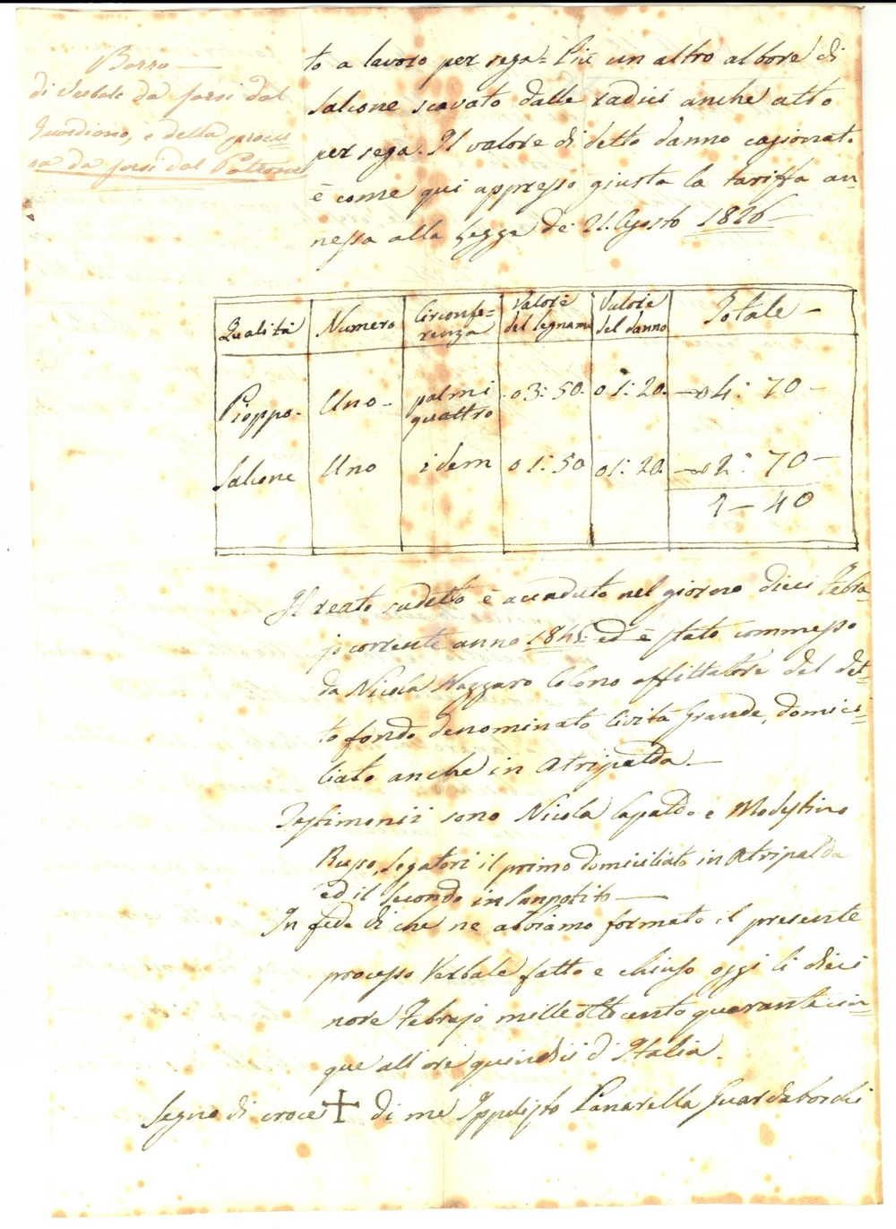 Documento originale, autentico 1845 ATRIPALDA AV Colono Nicola NAZZARO reo di taglio abusivo alberi 1