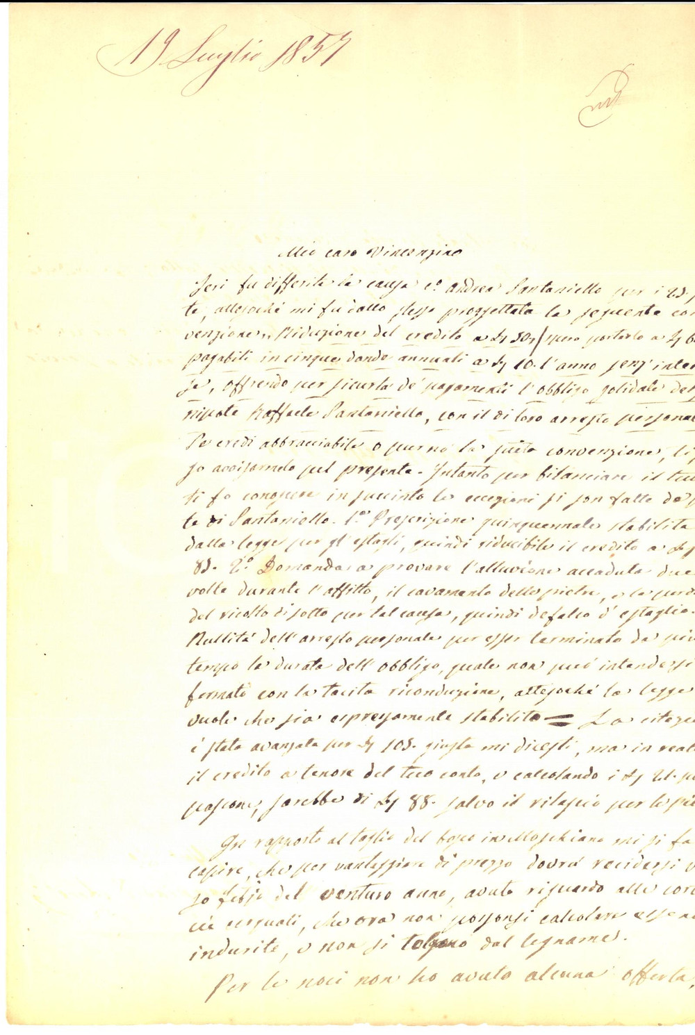 Documento originale, autentico 1857 QUINDICI AV Taglio bosco di querce con le cortecce indurite 1