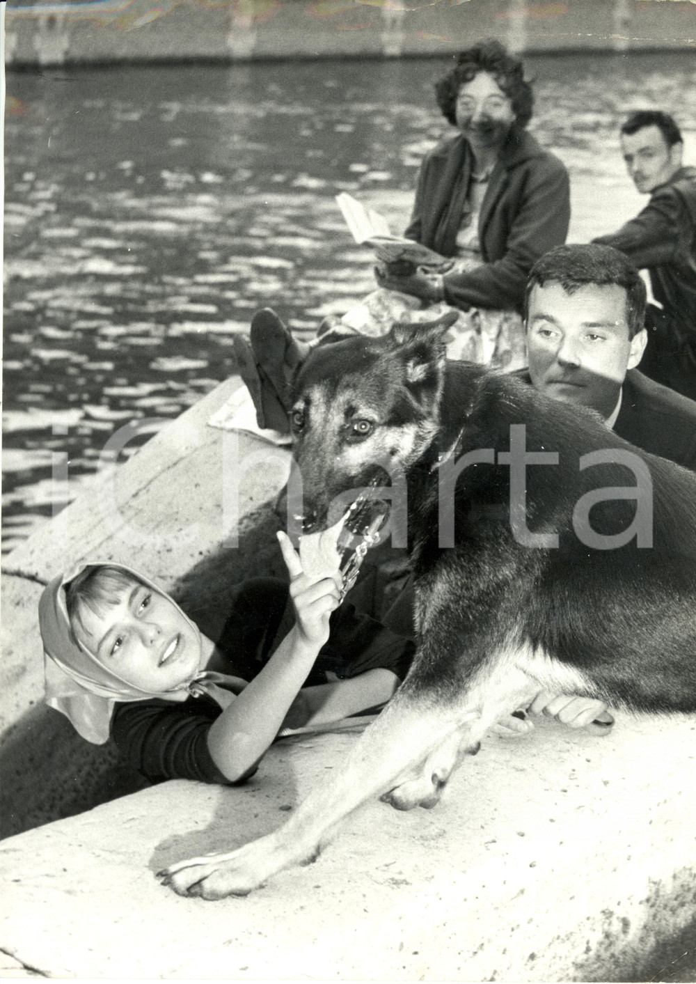 1961 LE PAVE' DE PARIS Danièle GAUBERT Jacques RIBEROLLES con cane Foto di scena