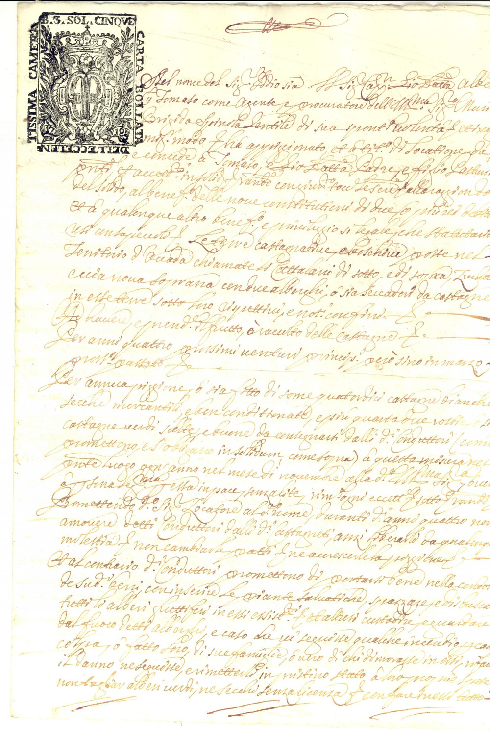 Documento originale, autentico 1726 OVADA AL Tommaso e Giovanni Battista PASTORINI affittano castagneti 1