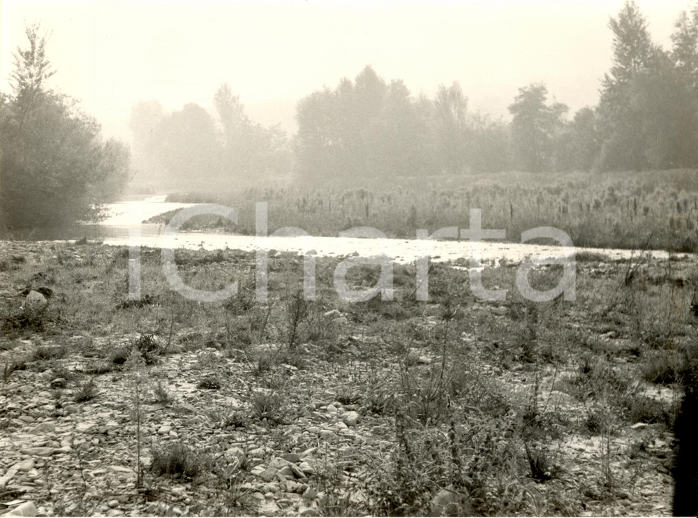 Fotografia d epoca originale 1982 BAGNARIA PV Torrente STAFFORA Scorcio nella campagna Fotografia 1