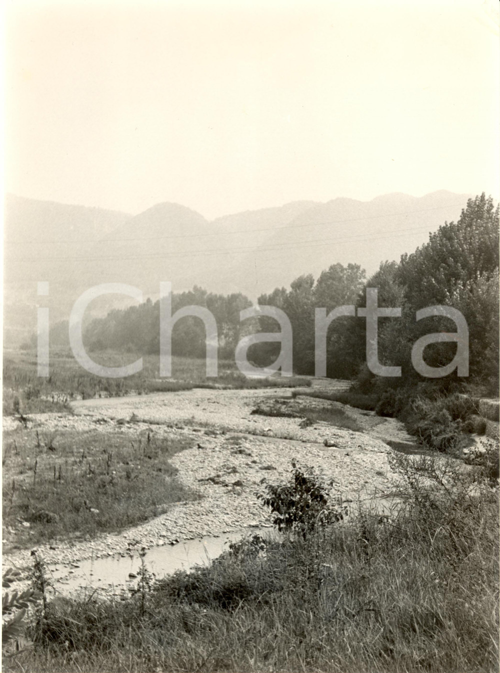 Fotografia d epoca originale 1982 BAGNARIA PV L alveo del torrente STAFFORA in secca Fotografia 1