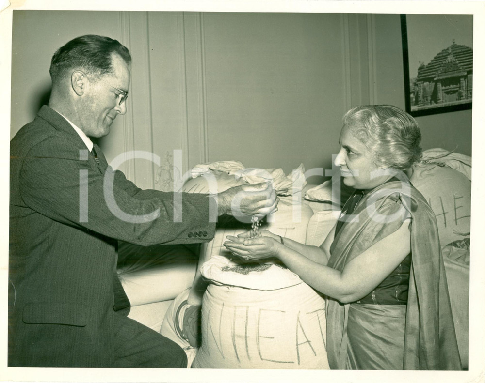 Fotografia d epoca originale 1951 WASHINGTON USA Ambassador Vijaya LAKSHMI PANDIT grano da George WEYBRIGHT 1