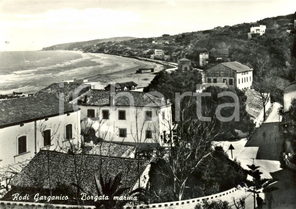 Cartolina originale da collezione 1961 RODI GARGANICO FG Panorama della borgata marina Cartolina animata FG VG 1
