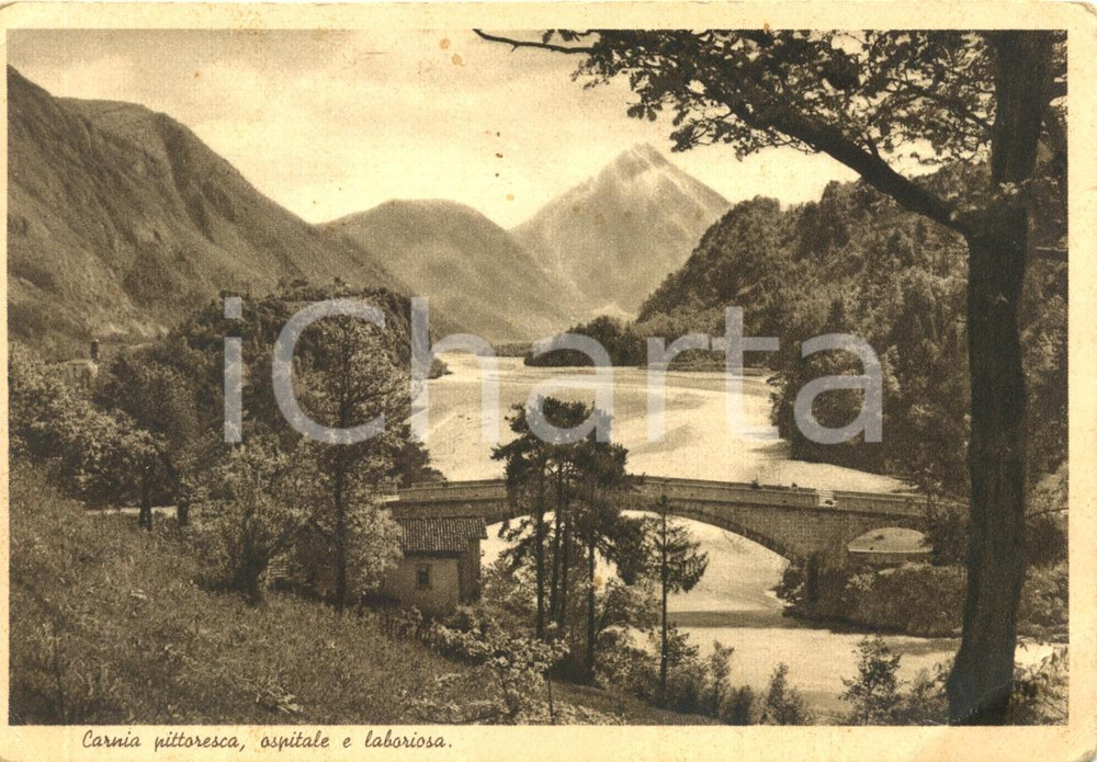 Cartolina originale da collezione 1943 GRADISCA D ISONZO GO Veduta pittoresca della Carnia Cartolina postale FG 1