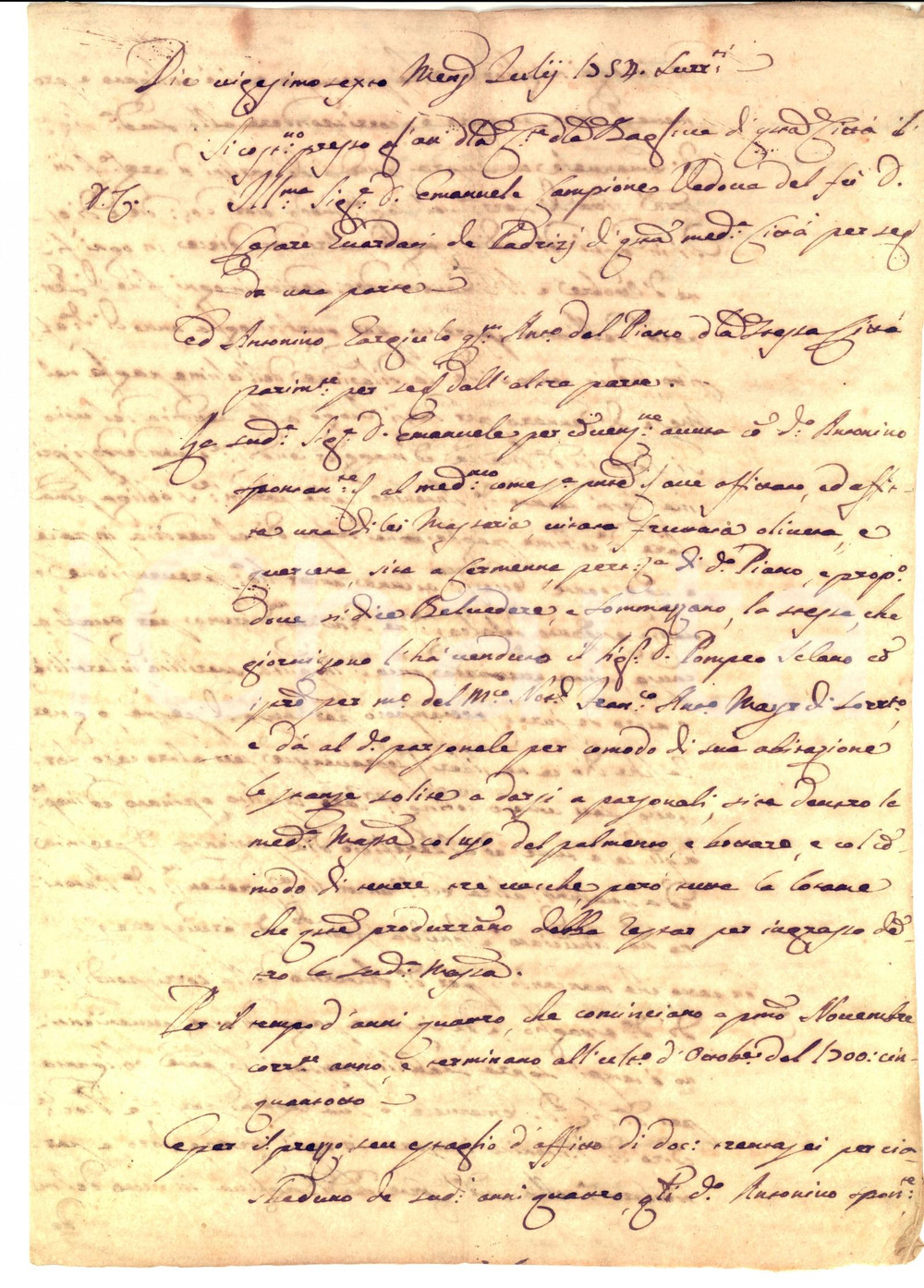 Documento originale, autentico 1754 PIANO DI SORRENTO NA Vedova Emanuela CAMPIONE affitta masseria a GARGIULO 1