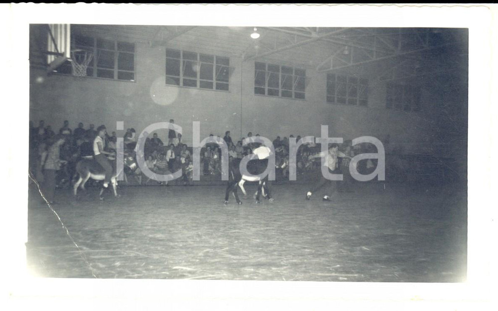 Fotografia d epoca originale 1960 ca USA GOLIARDIA Asini su un campo di basket Foto VINTAGE 14x9 cm 1