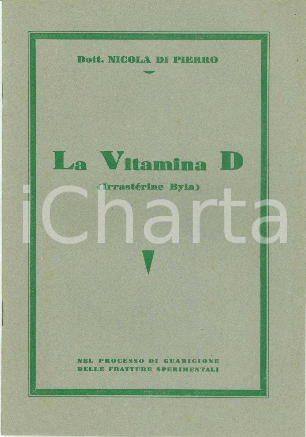 Libro, pubblicazione d epoca 1928 Nicola DI PIERRO Vitamina D IRRASTERINE BYLA fratture sperimentali TAVOLE 1