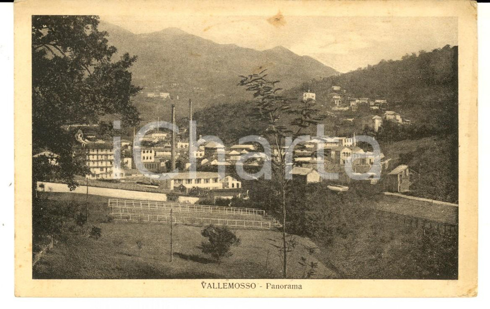 Cartolina originale da collezione 1933 VALLEMOSSO BI Panorama del paese Cartolina postale FP VG 1