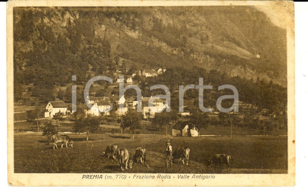 Cartolina originale da collezione 1933 PREMIA VB Frazione RODIS  Valle ANTIGORIO Cartolina postale FP VG 1