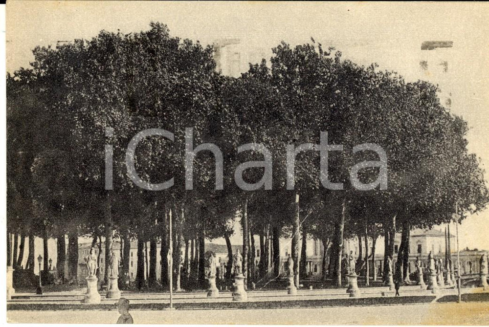 Cartolina originale da collezione 1920 ca PADOVA Veduta di piazza VITTORIO EMANUELE II Cartolina FP VG 1