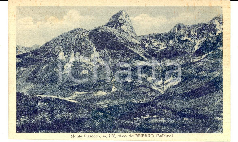 Cartolina originale da collezione 1930 ca BRIBANO BL Veduta con il Monte PIZZOCCO Cartolina postale FP NV 1