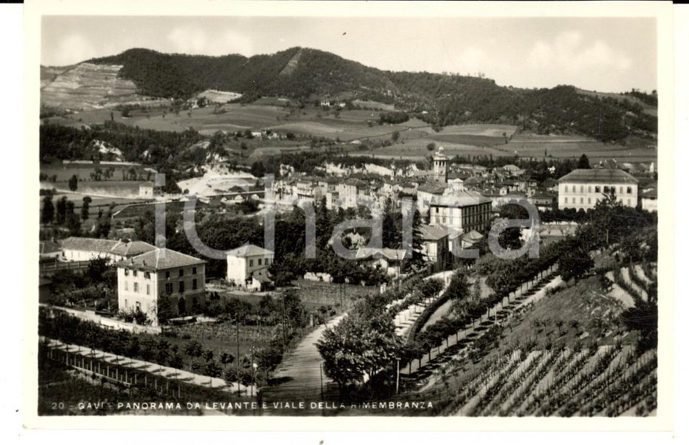 Cartolina originale da collezione 1938 GAVI AL Panorama da levante e viale della Rimembranza Cartolina FP NV 1