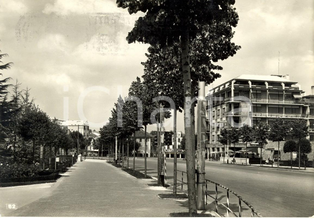 Cartolina originale da collezione 1954 TREVISO Veduta di via ROMA Cartolina postale ANIMATA VINTAGE FG VG 1