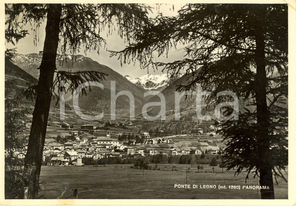 Cartolina originale da collezione 1949 PONTE DI LEGNO BS Veduta panoramica dell abitato Cartolina postale FG VG 1