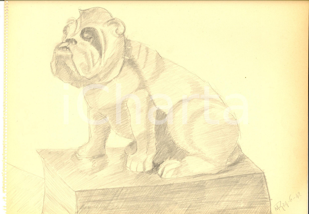 Stampa, bozzetto originale 1942 ARTE Ritratto di bulldog accovacciato Disegno a matita FIRMATO 31x23 cm 1