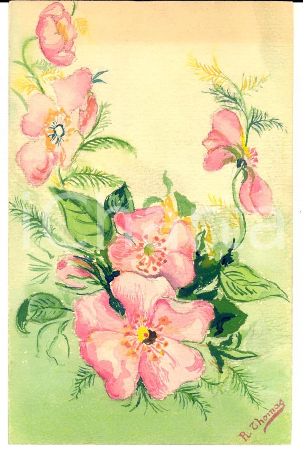 Cartolina originale da collezione 1910 ca FRANCIA Cartolina DIPINTA A MANO con fiori rosa R. THOMAS 1