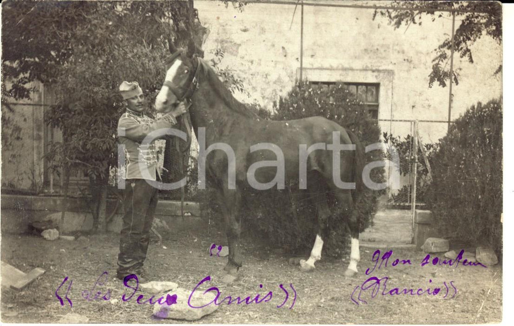 Fotografia d epoca originale 1908 BOUILLARGUES FRANCE Militare posa con il cavallo RANCIO Foto FP 1