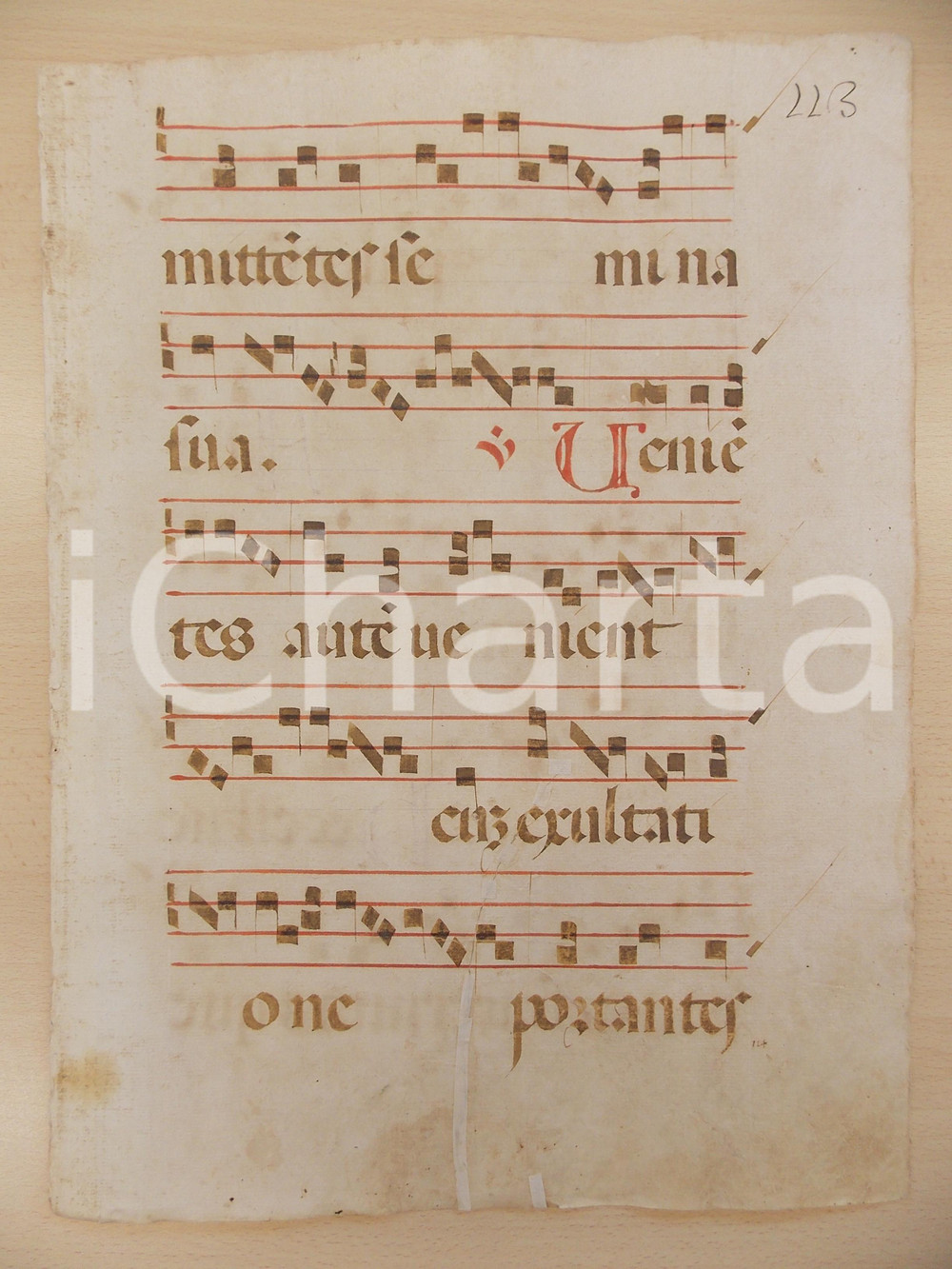 Libro, pubblicazione d epoca 1600 ca ANTIFONARIO ROMANO Pagina manoscritta canti rosso nero Salmo VENIENTES 1