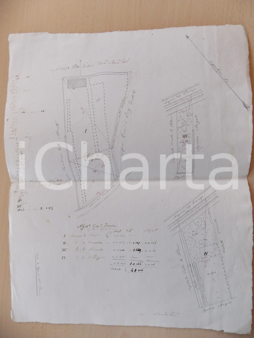 1850 ca NOVENTA PADOVANA Planimetria fondi affittavolo Giacinto FIORIN 30x40 Planimetria d'epoca, eseguita a mano, con notizie al verso sulle tipologie di coltivazione.CONDIZIONI: FAIR     originale e autentica 1