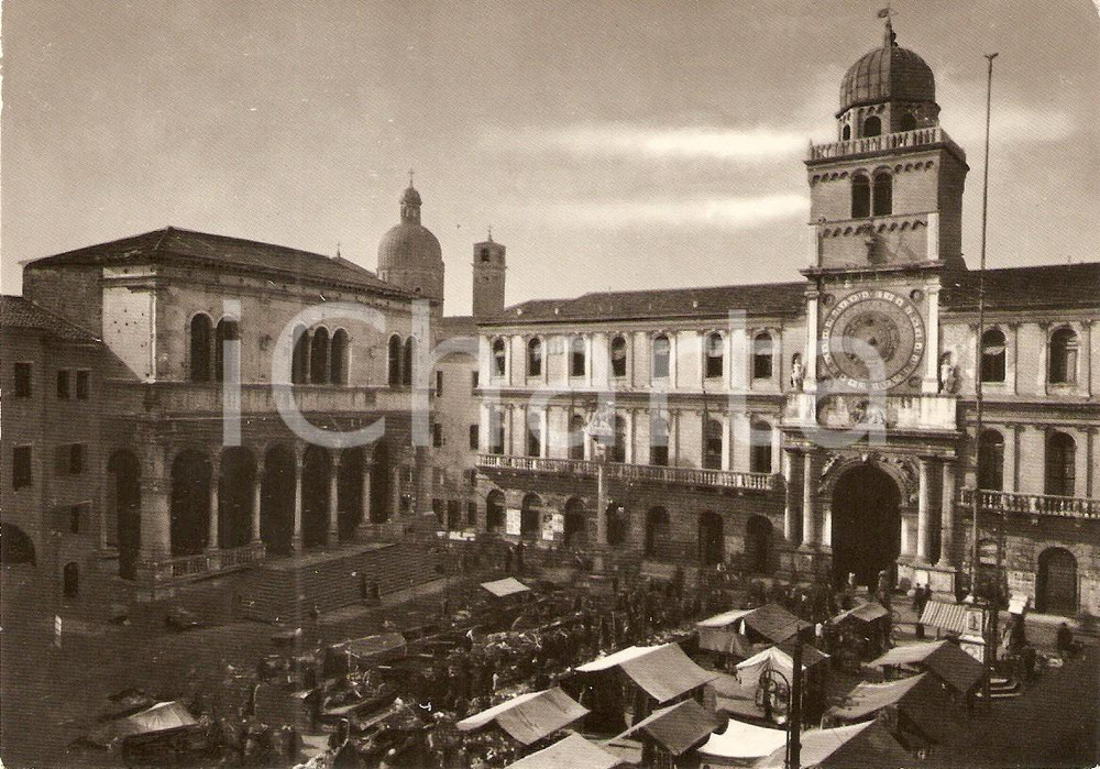Cartolina originale da collezione 1955 ca PADOVA Piazza dei Signori Palazzo Capitanio Cartolina ANIMATA FG NV 1