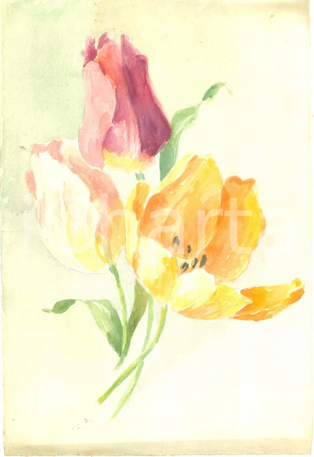 Stampa, bozzetto originale 1945 ca Disegno originale pittrice Gianna RONCHI Fiori Acquerello NON FIRMATO 1
