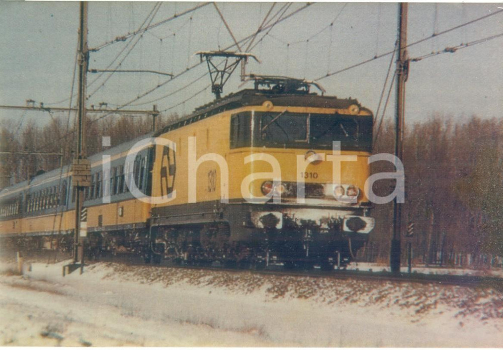 Fotografia d epoca originale 1985 AMSTERDAM OLANDA Ferrovie Nederlandse Spoorwegen Locomotiva 1310 Foto 1
