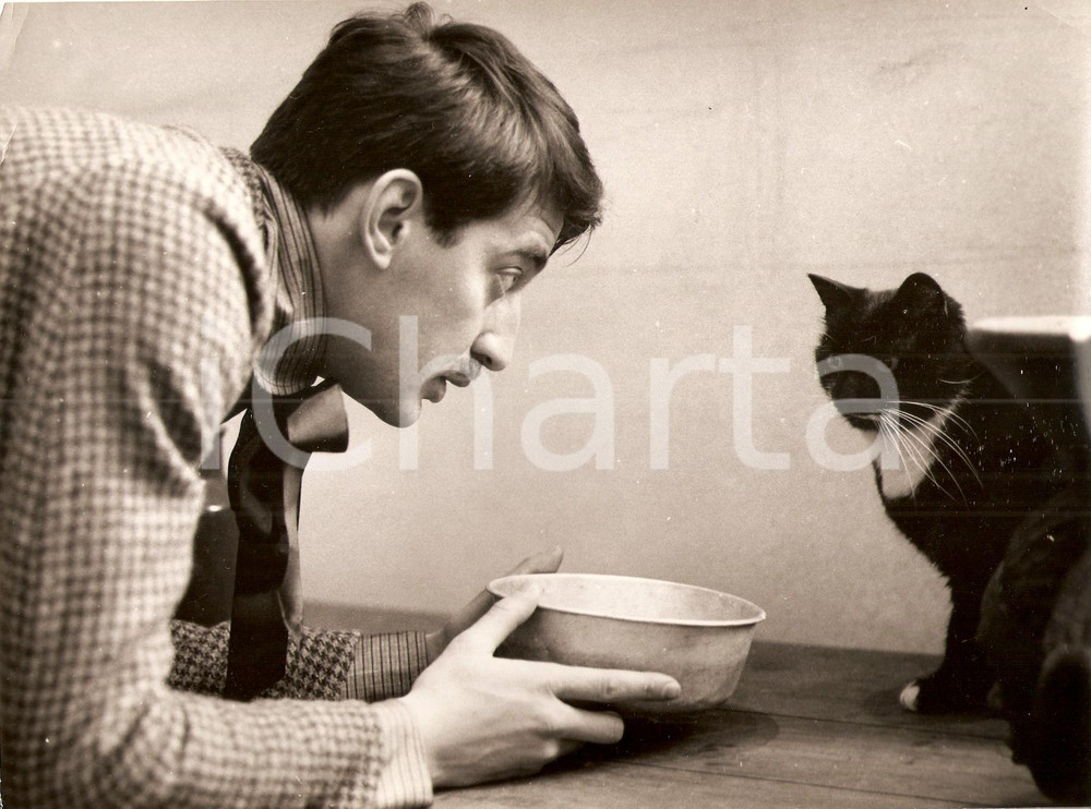 Fotografia d epoca originale 1962 JULES ET JIM Henri SERRE with cat Movie by FranÃ§ois TRUFFAUT Fotografia 1