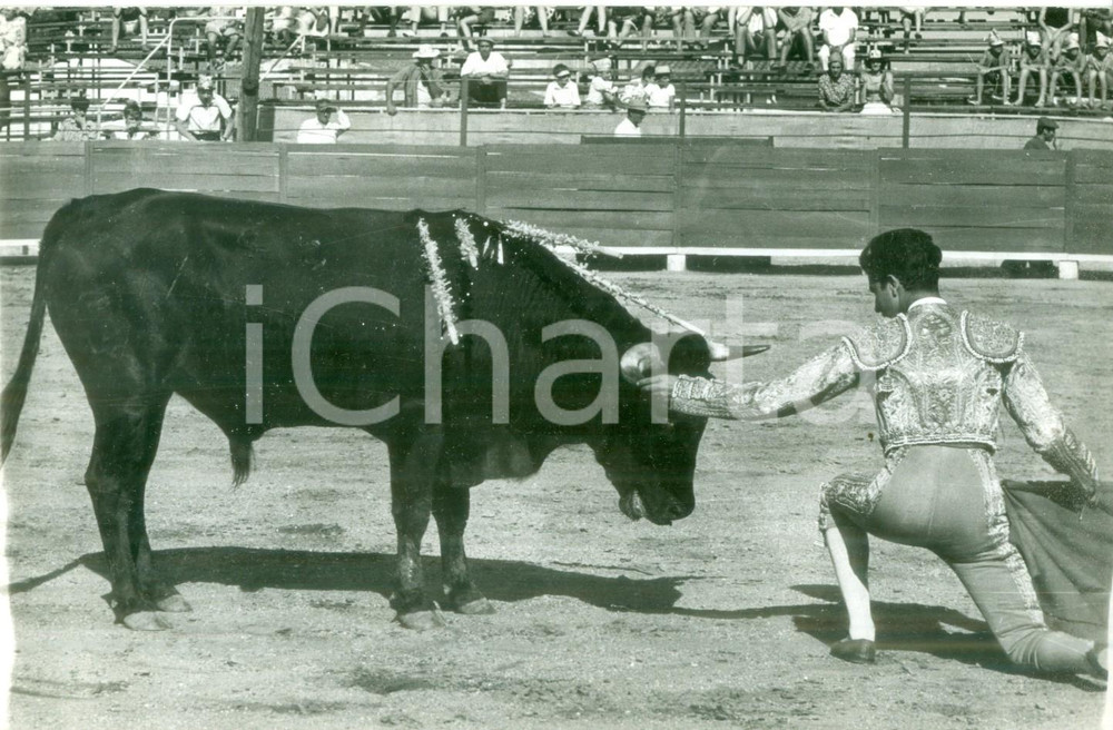 Fotografia d epoca originale 1950 ca AVIGNON FRANCE Matador si inchina di fronte al toro Fotografia 1